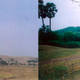 (L) A view of the barren mountain in 1996 and (R) a restored landscape as seen in 2006.